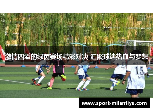 激情四溢的绿茵赛场精彩对决 汇聚球迷热血与梦想